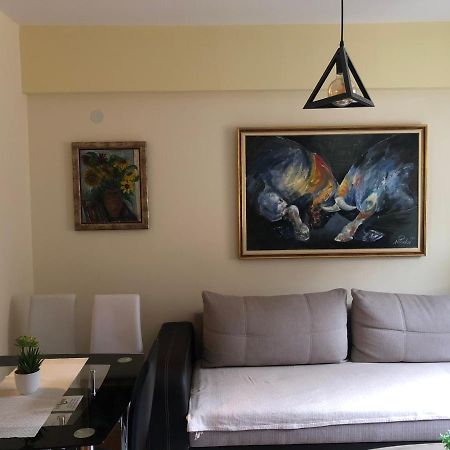 Suncani Apartman Brzeće Buitenkant foto